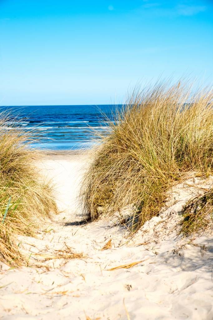 Behang met duinen