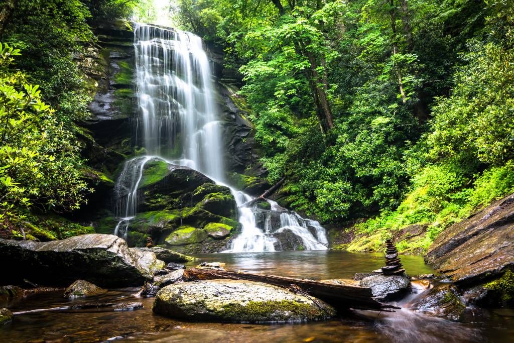 Jungle waterval