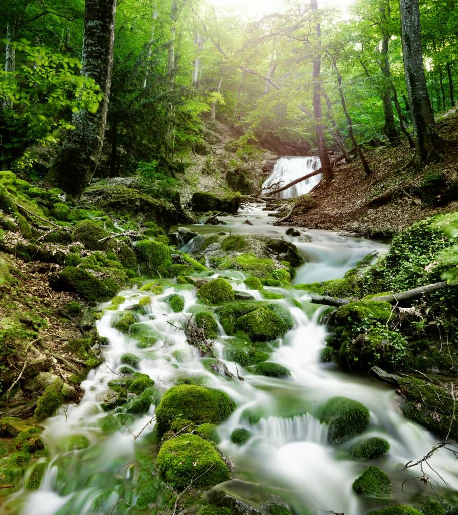 Waterval in de Jungle