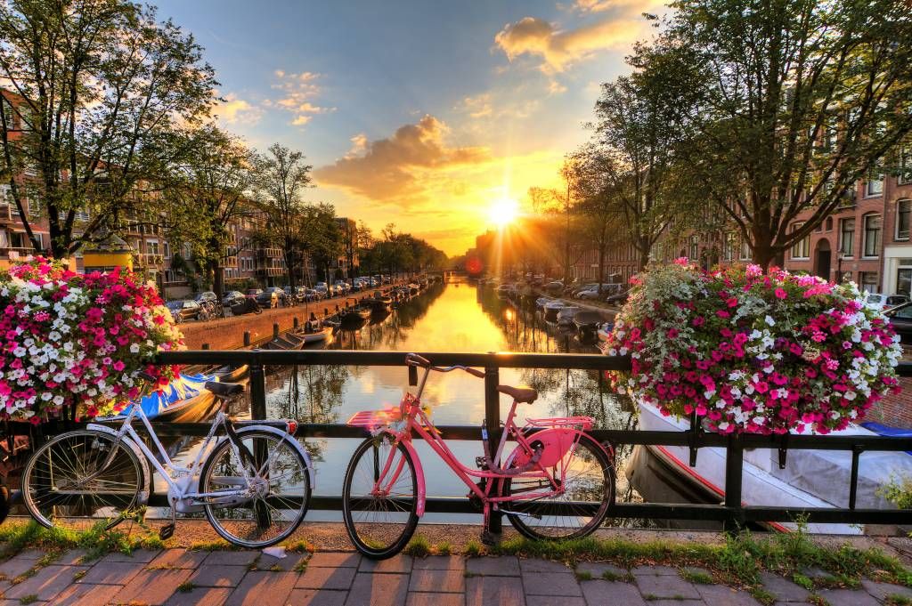 Fietsen op een brug met bloemen