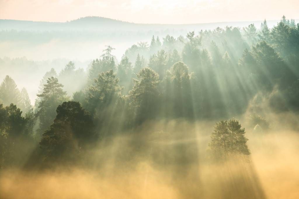 Zonsopgang tussen de heuvels