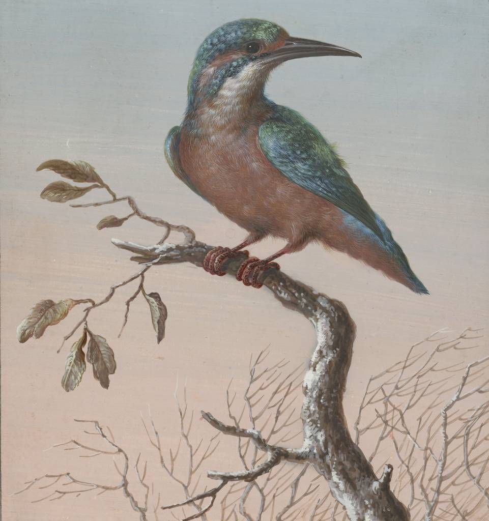 IJsvogel schilderij