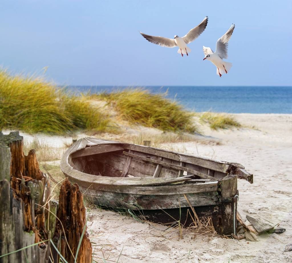 Oude vissersboot, meeuwen, strand en zee