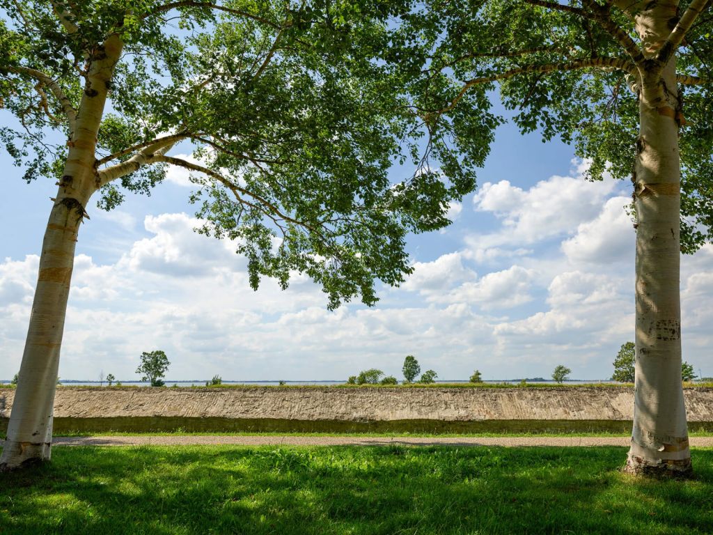 Zonnig uitzicht