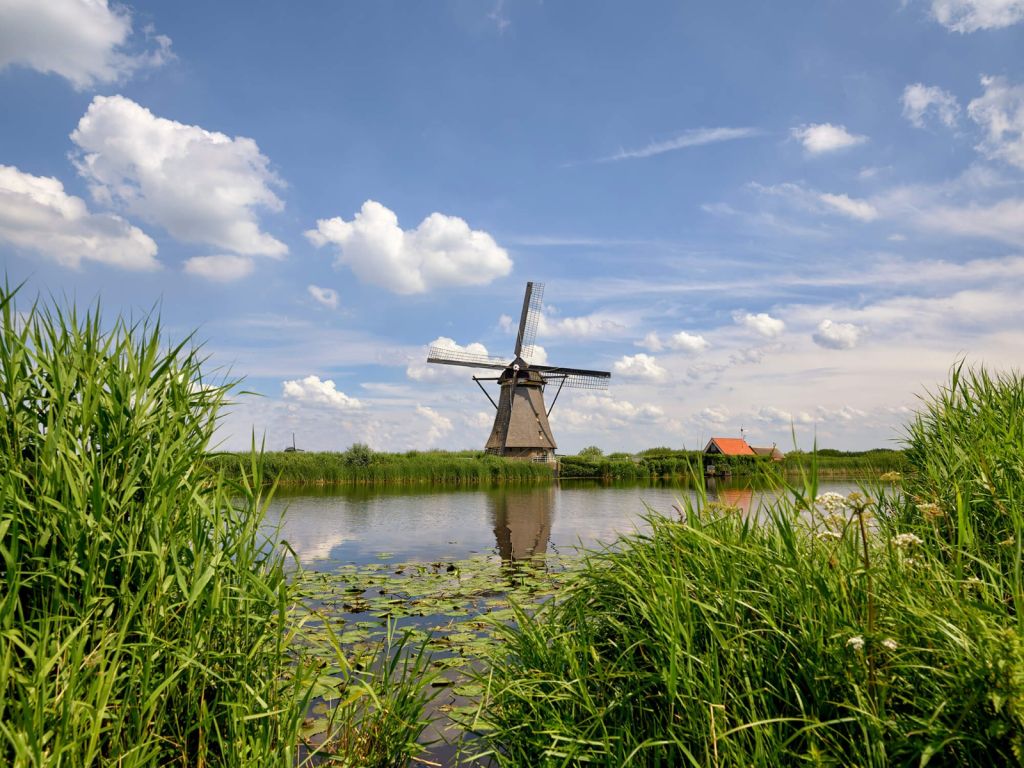 Molen