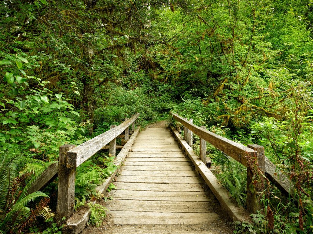 Brug van hout