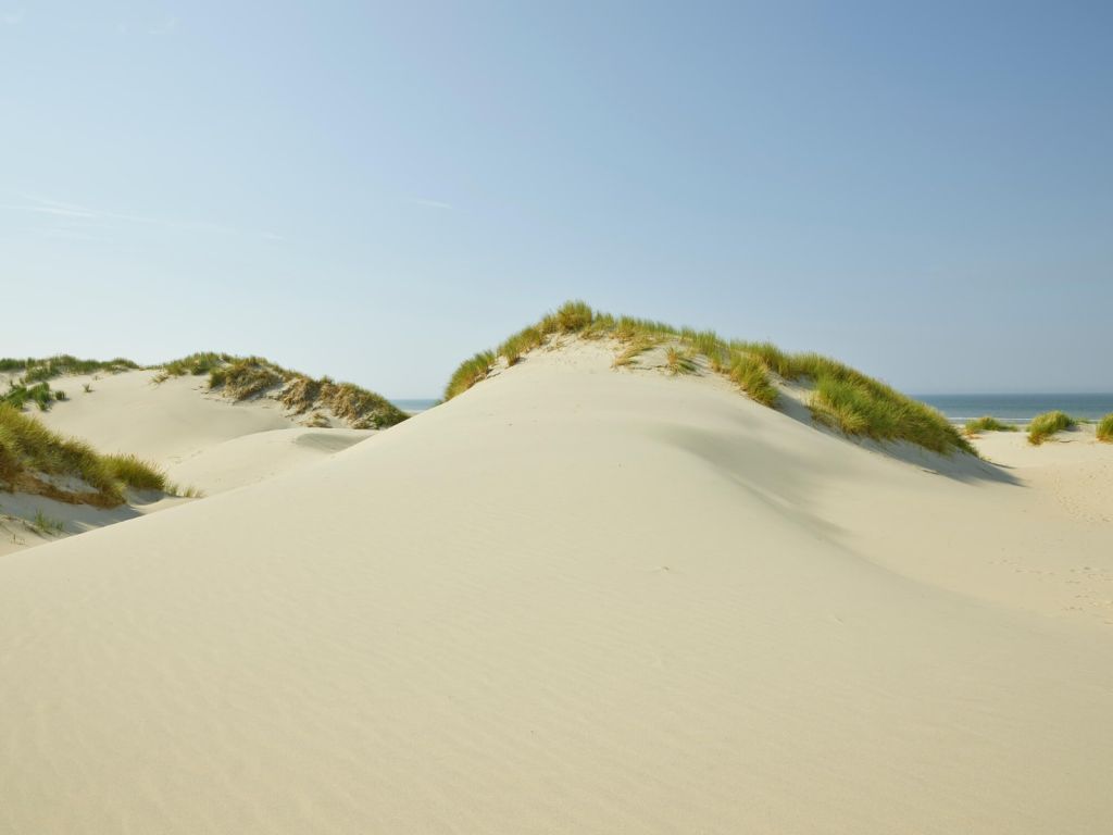 Duinen aan het strand