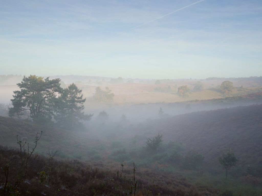 Mist op de hei