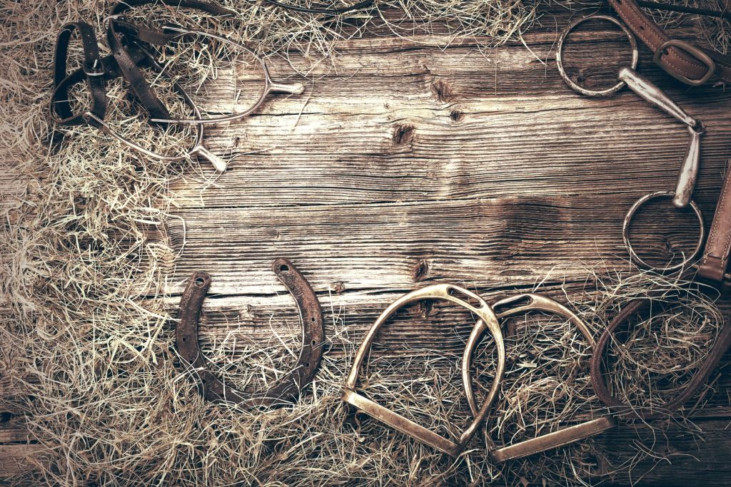 Uitrusting voor paarden