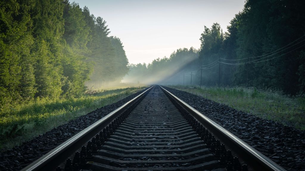 Treinrails door het bos