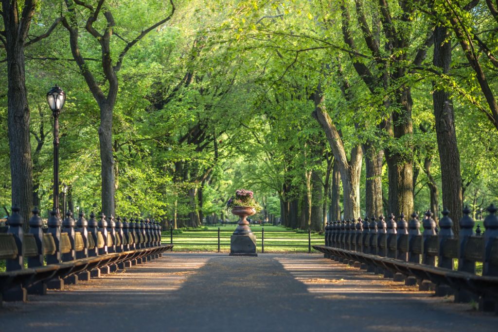 Pad in Central Park