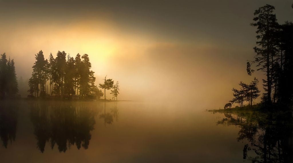 Island in the fog