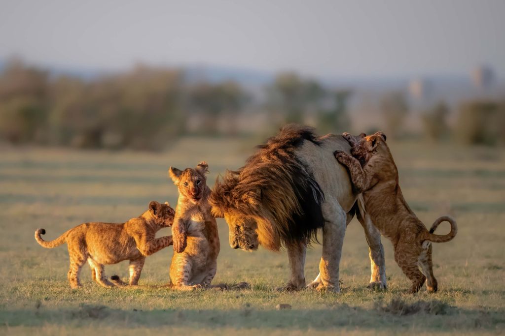 Dad and kids