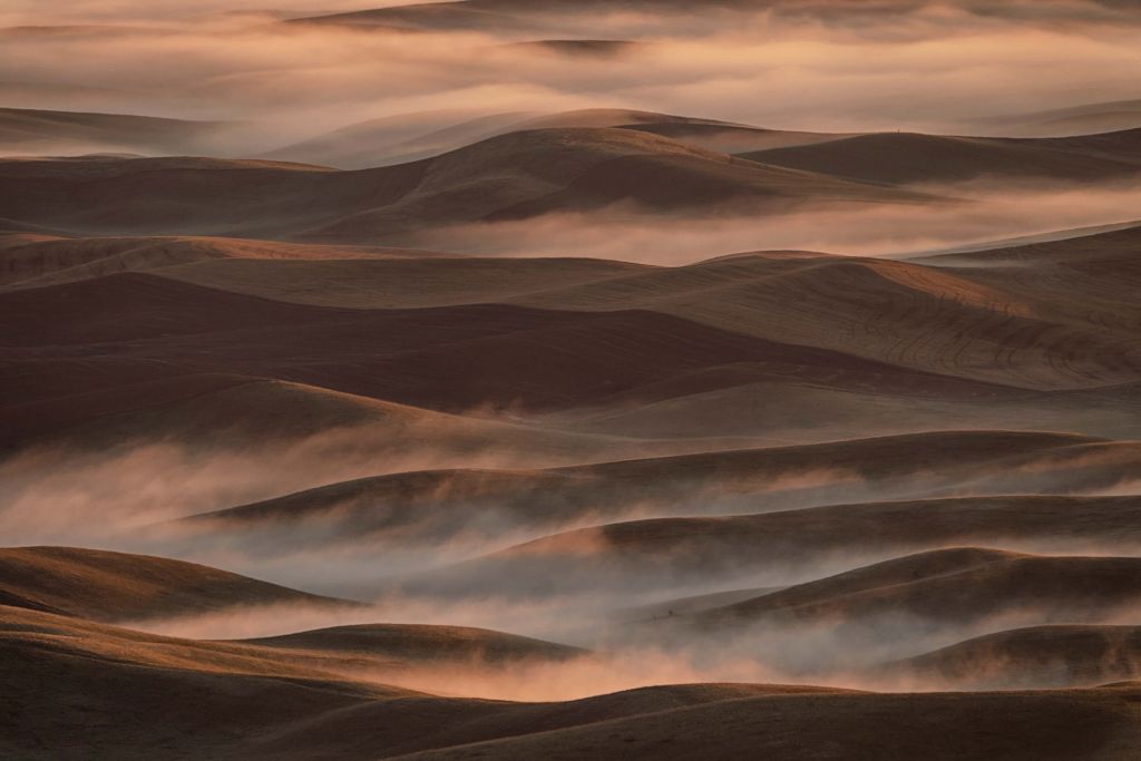 Early Spring Morning at Palouse