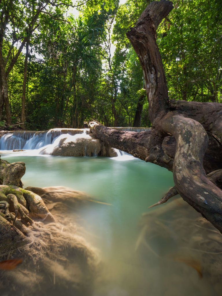 Waterval in jungle