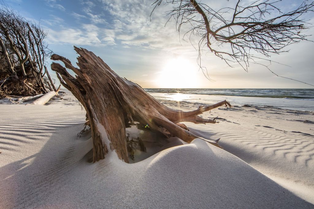 Hout in het zand