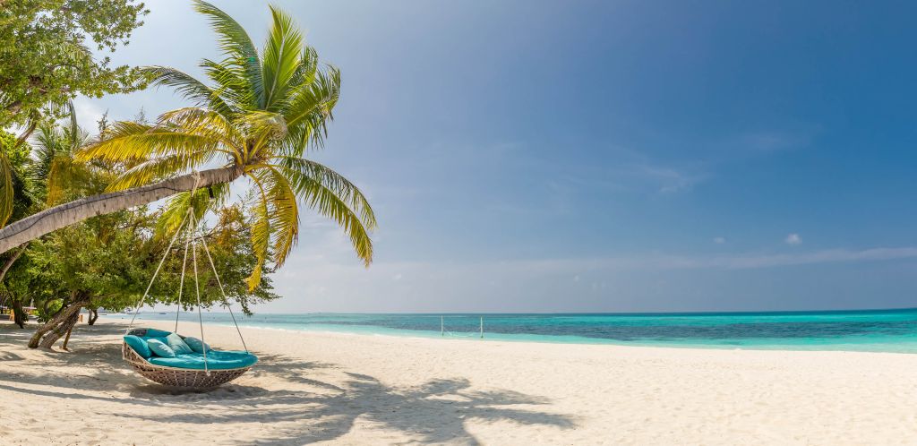 Tropisch strand met schommel