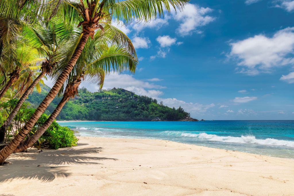 Prachtig strand met palmen