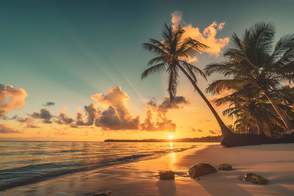 Tropisch strand in Punta Cana