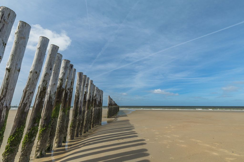 Paalhoofden in de Noordzee