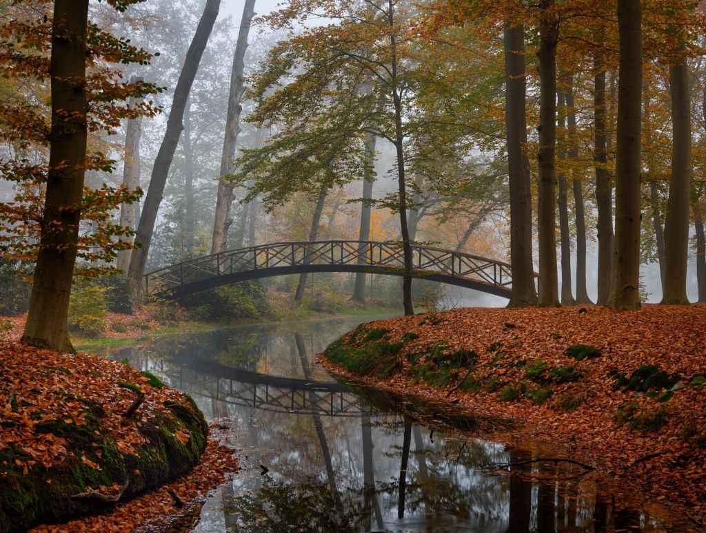 Bruggetje in het herfstbos