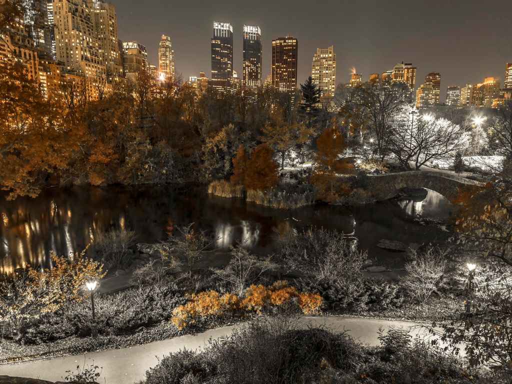 Park tijdens de nacht