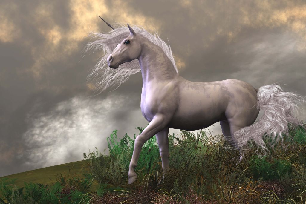 Unicorn in de storm