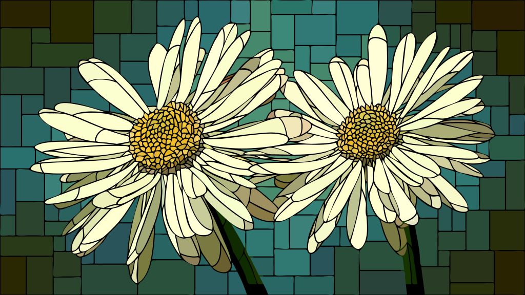 Daisy bloemen