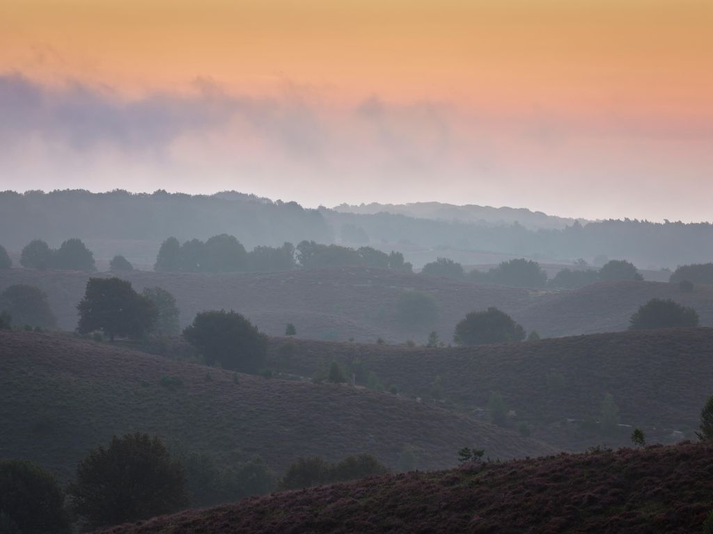 Mistige zonsopkomst op de heide