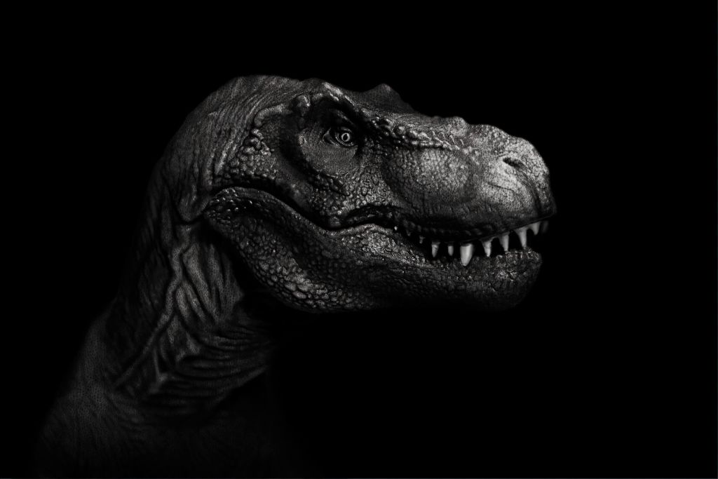 Close-up van een Tyrannosaurus Rex