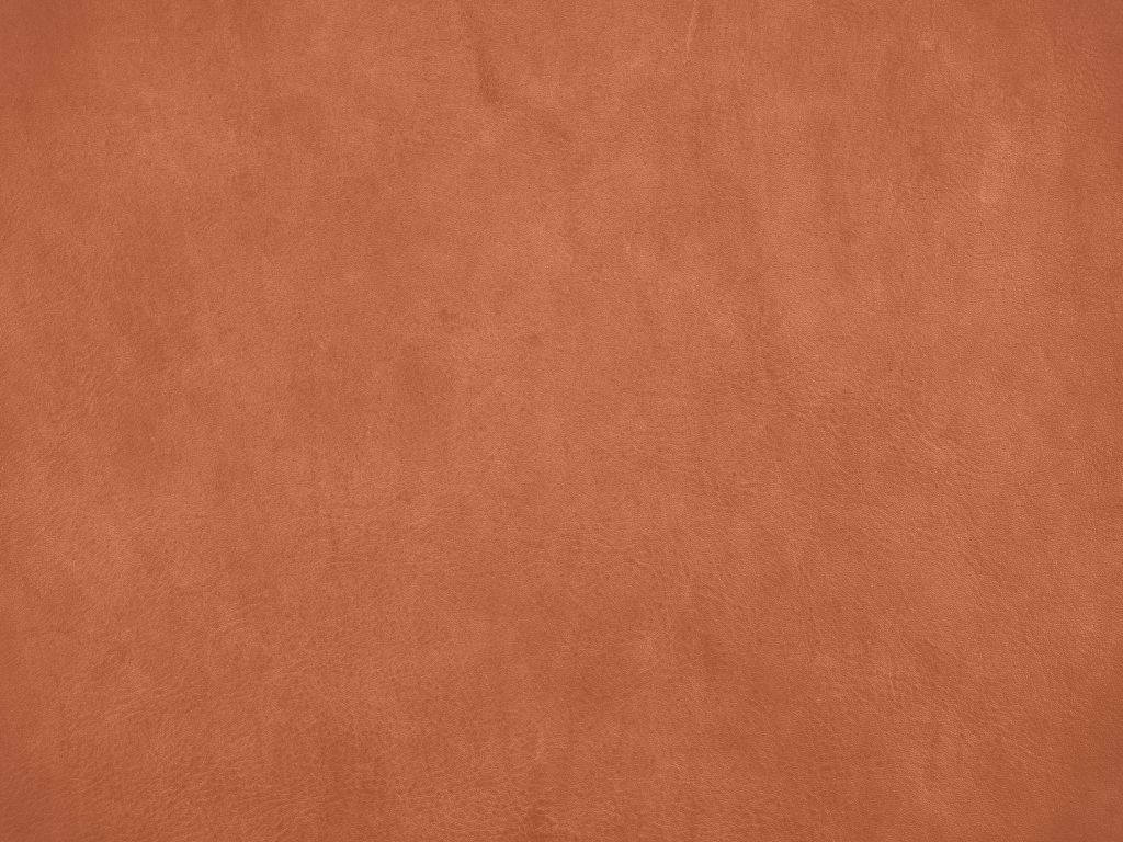 Leren structuur in terracotta kleuren