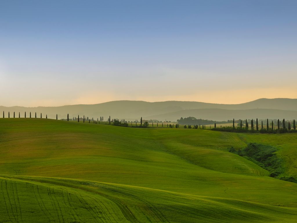 Heuvellandschap Toscane