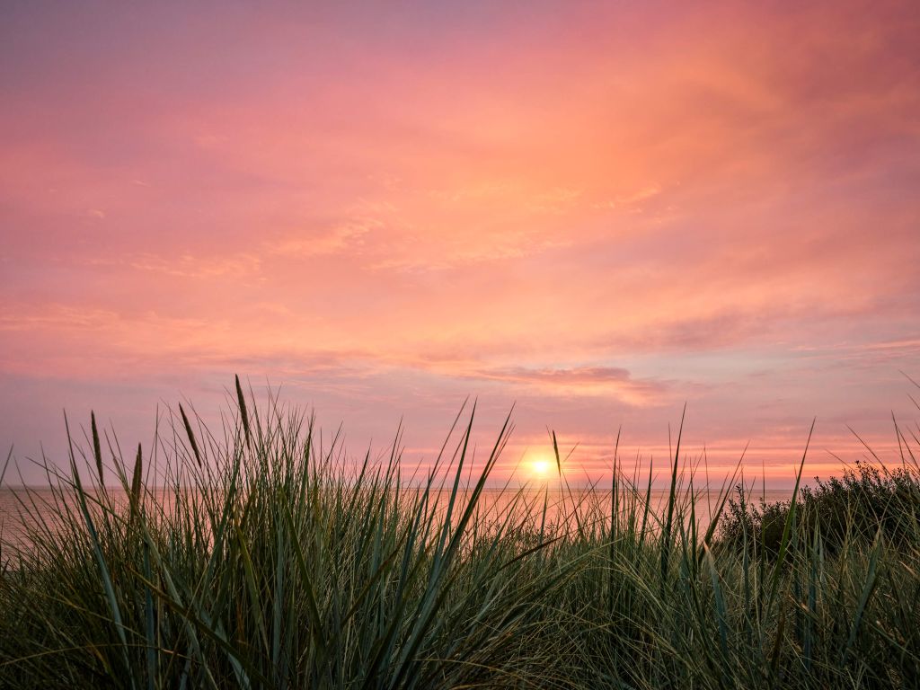 Zonsopgang aan zee