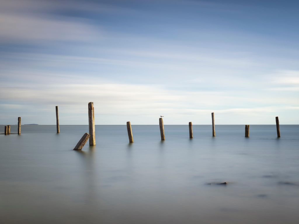 Oude houten palen in zee