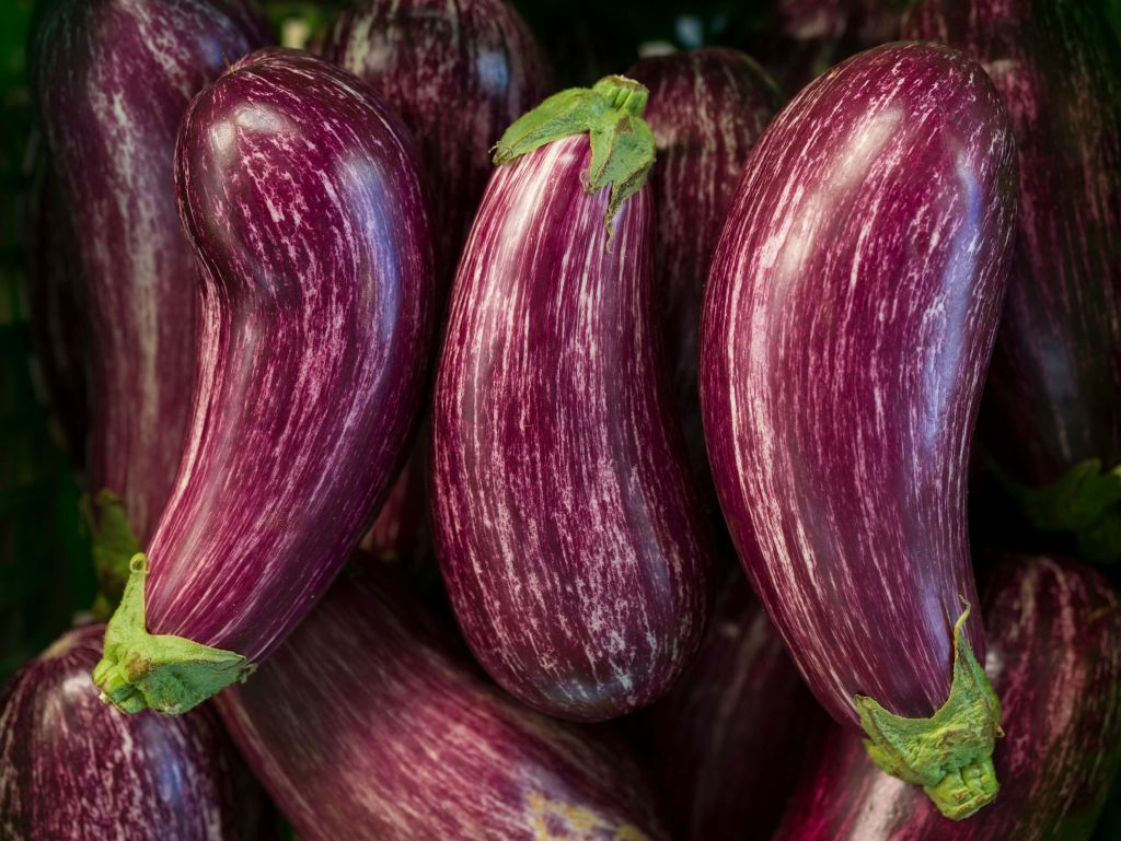 Aubergines