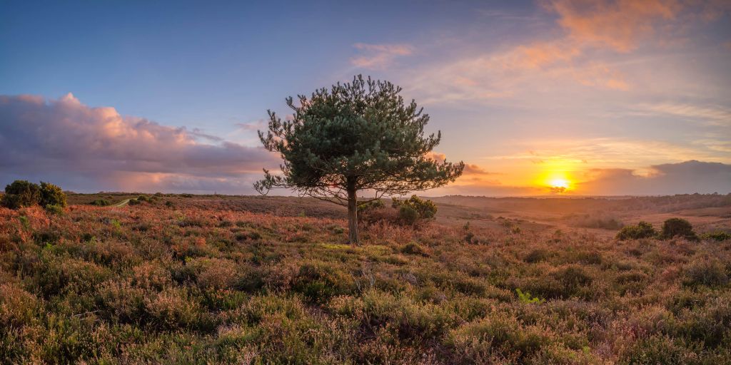 Zonsondergang bij een verlaten gebied