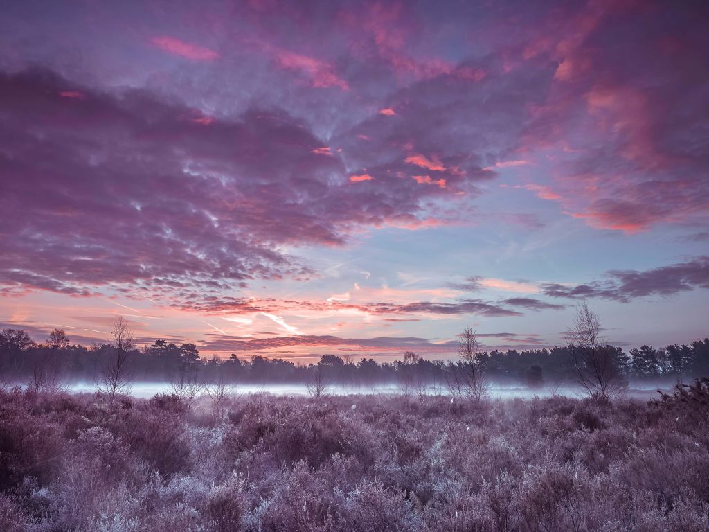 Weiland onder wolkenlucht