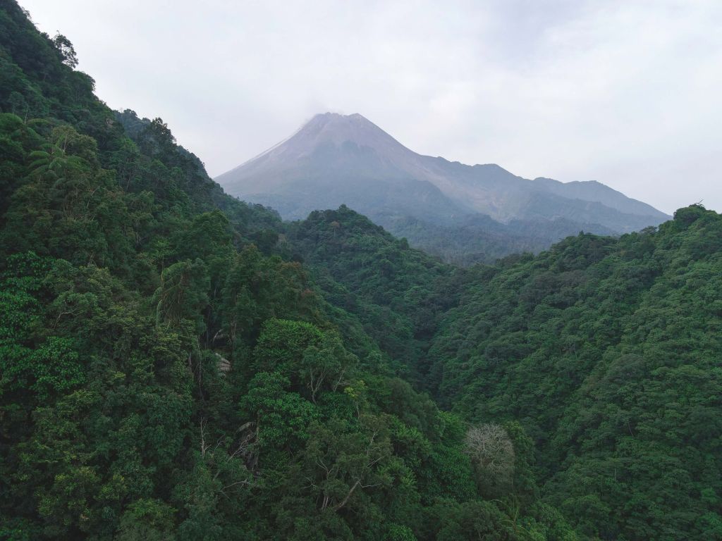 Merapi gebergte