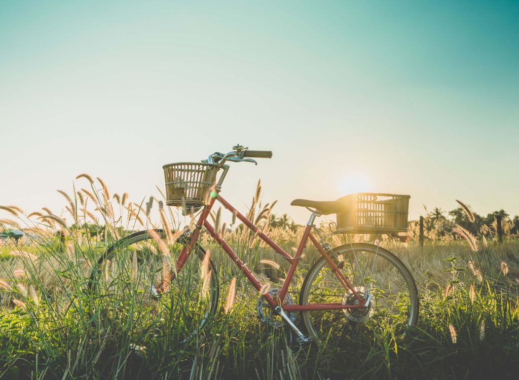 Rode vintage fiets