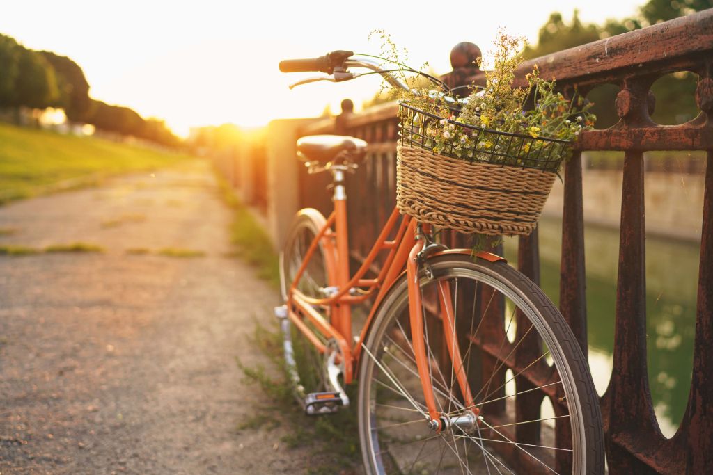 Rode fiets met mandje