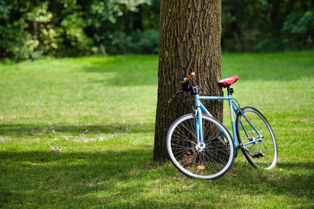 Fiets in het park