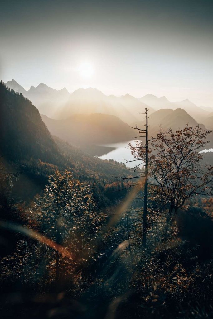 Uitzicht over de Alpen