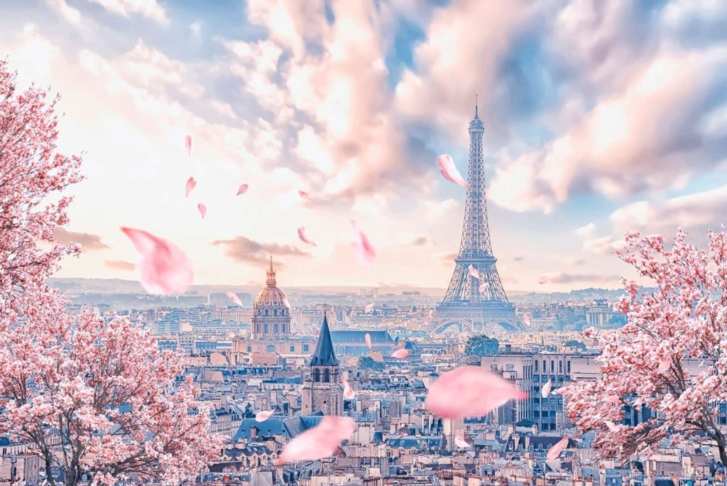 French Sakura