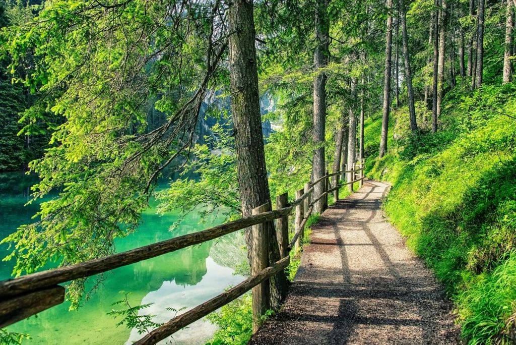 Path by the lake