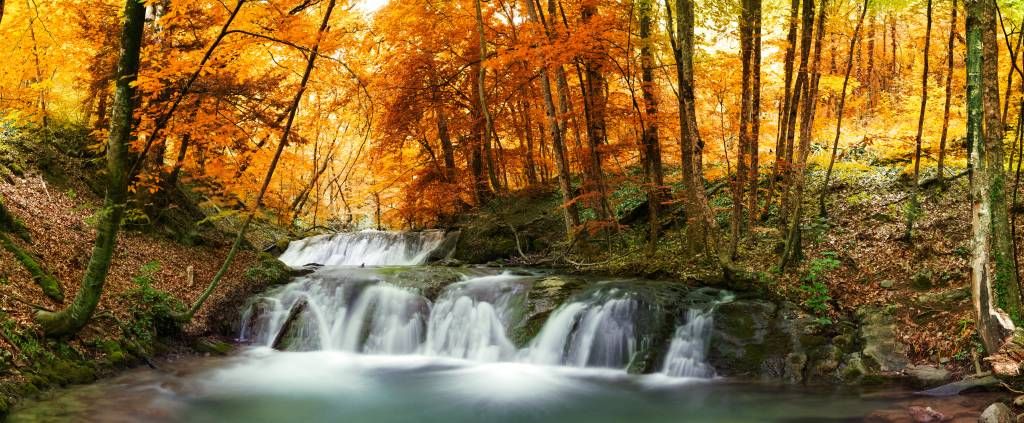 Waterval in de herfst