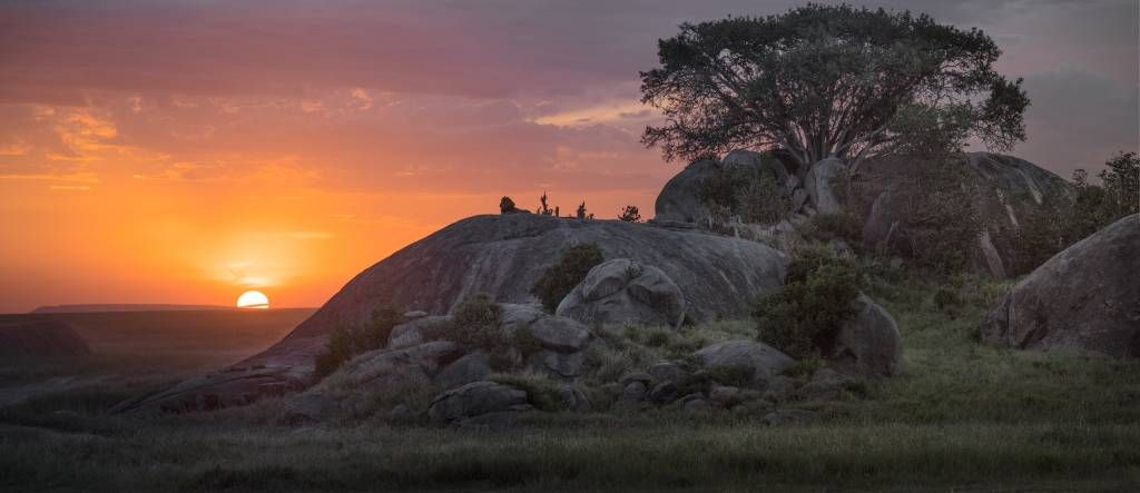 Zonsondergang boven de savanne